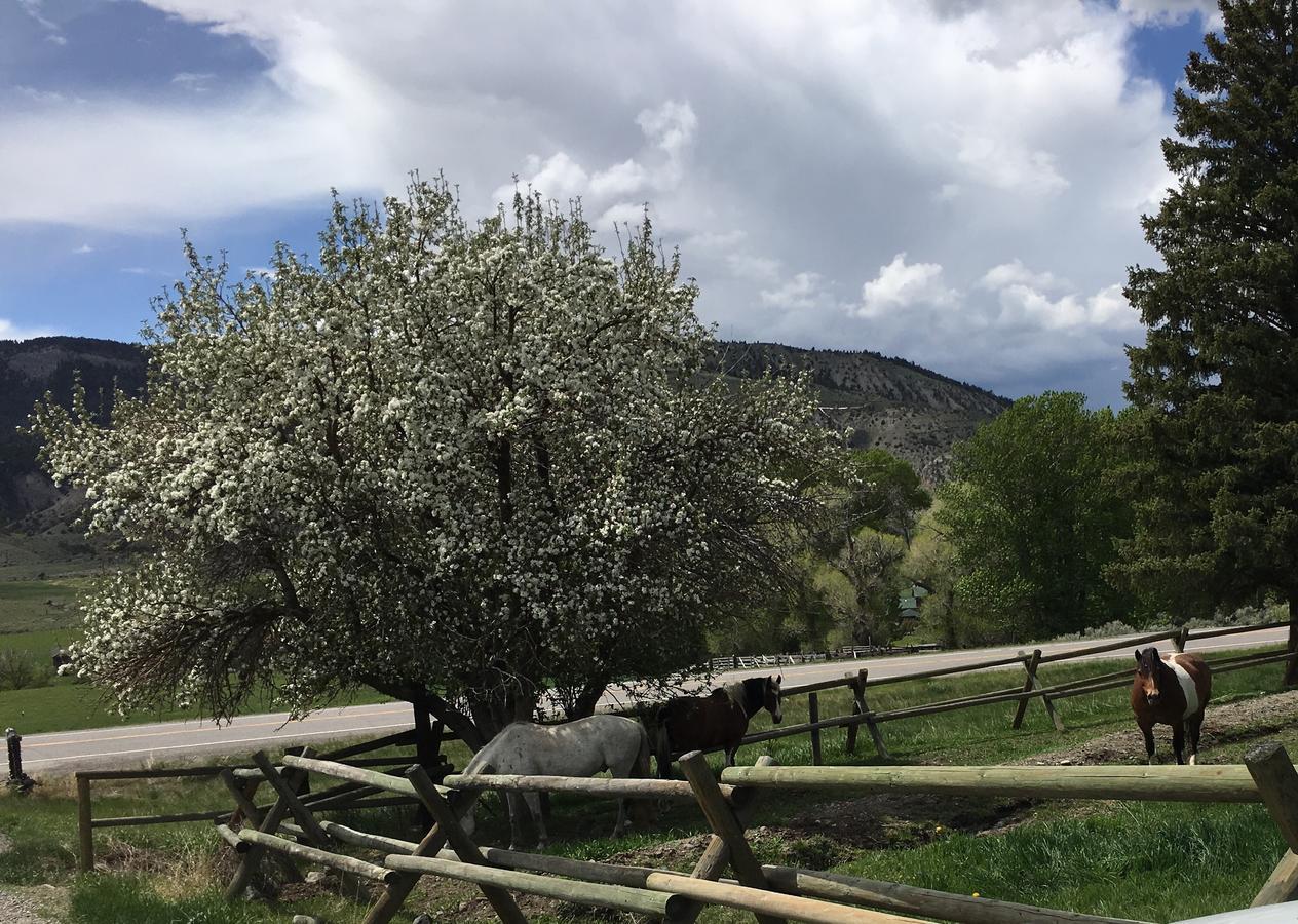 הוילה גרדינר Little Trail Creek Cabins מראה חיצוני תמונה