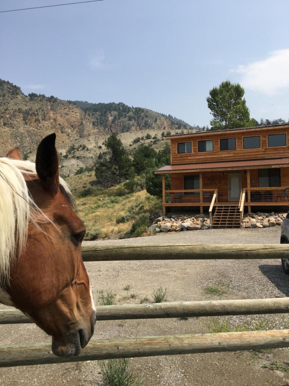 הוילה גרדינר Little Trail Creek Cabins מראה חיצוני תמונה